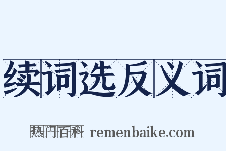 续词选反义词是什么意思的图片